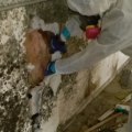 Transform Your Home With Mold Removal And House Painting In Hollywood, FL