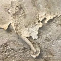 Does house paint crack on canvas?