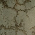 Why House Painting In Edmonds Should Include Water Damage Building Restoration Services