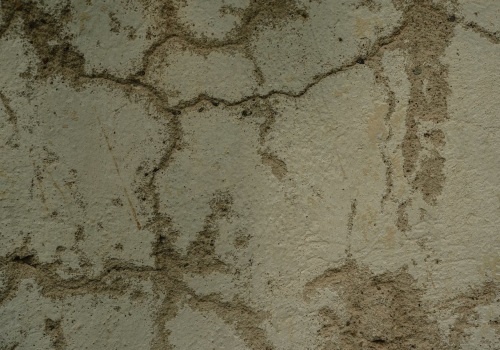 Why House Painting In Edmonds Should Include Water Damage Building Restoration Services